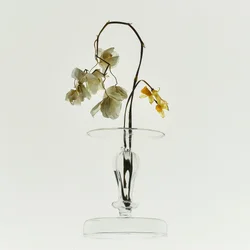 Withered Beauty Still Life