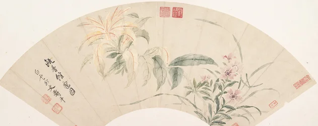 Carnations and Amaranthus