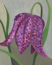 Purple Checkered Bloom
