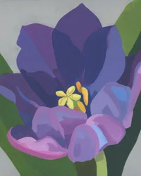 Vibrant Purple Flower