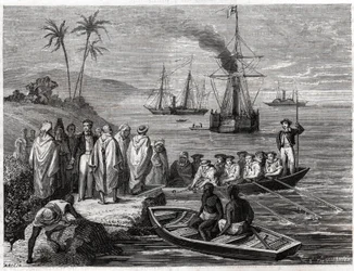 Telegraphic Undersea Cable