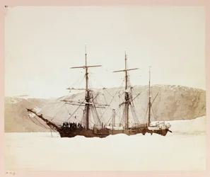 Arctic Expedition (1875-1876) by Captain George Nares: H