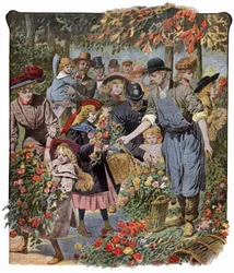 Flowers Distribution