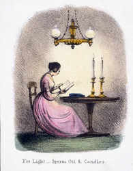 For Light, Sperm Oil and Candles, c. 1845