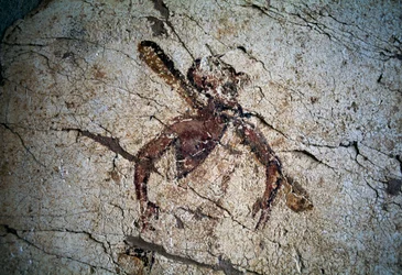 Fresco, Kos island, Greece