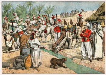 Oasis in the Sahara Desert