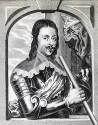 Portrait of Ferdinand II de 