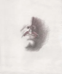Study for the Face of a Man: Mouth and Nose