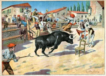 Bullfighting in Camargue