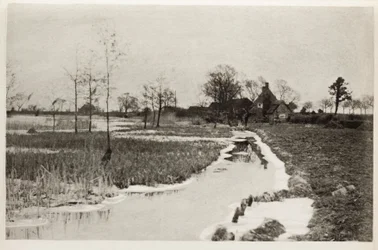 The Edge of the Broad