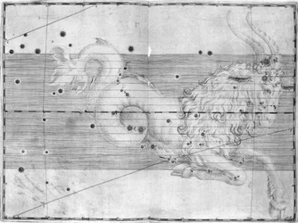 The constellation Capricornus