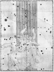 The constellation Taurus