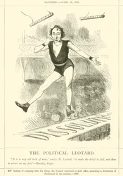 The Political Leotard