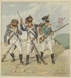 Young Guard, 1806, Conscript-Grenadier, Tirailleur-Grenadier, Flanker-Hunter