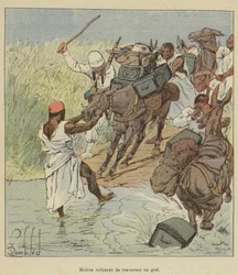Mules Refusing to Cross a Ford