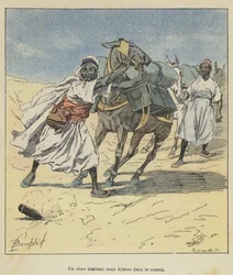 A Shell Falling Without Exploding in the Convoy