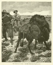 A Bison Hunt