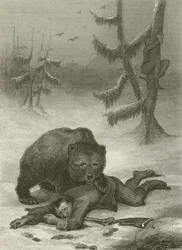 The Bear and the Two Companions