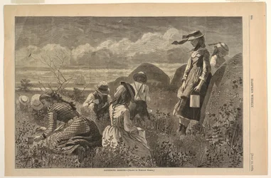 Gathering Berries