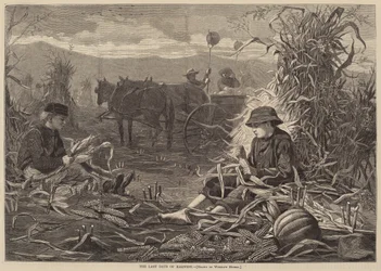 The Last Days of Harvest