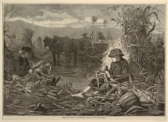 The Last Days of Harvest, from Harper