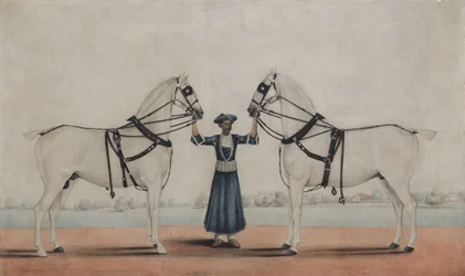 A Syce Groom Holding Two Carriage Horses