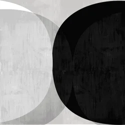 Abstract Black White Curves