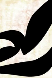 Abstract Calligraphic Curves