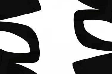 Black Abstract Curves