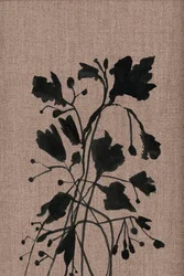 Black Botanical Silhouettes