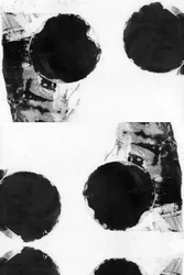 Bold Abstract Circles