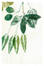 Botanical Green Leaves