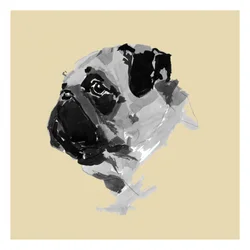 Charming Pug Portrait