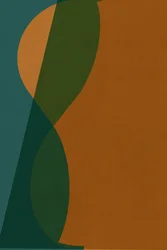 Curved Color Forms