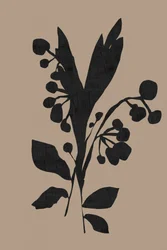 Dark Botanical Silhouette