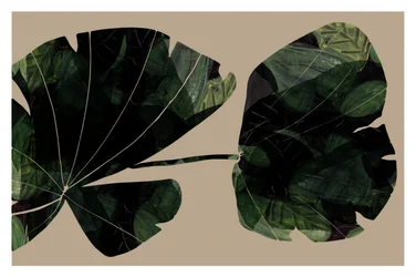 Dark Tropical Leaves