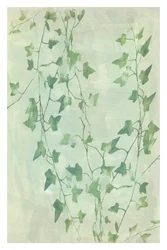Delicate Green Ivy Vines