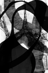 Dynamic Black Curves