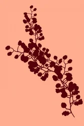 Elegant Floral Silhouette