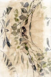 Ethereal Botanical Flow