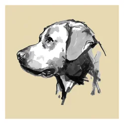 Expressive Dog Profile