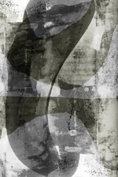 Fluid Monochrome Shapes