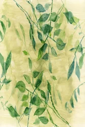 Gentle Botanical Flow