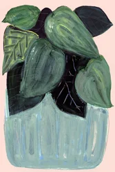 Lush Green Houseplant