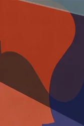 Organic Color Shapes