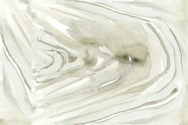 Organic Flowing Abstract