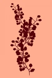 Peach Botanical Silhouette