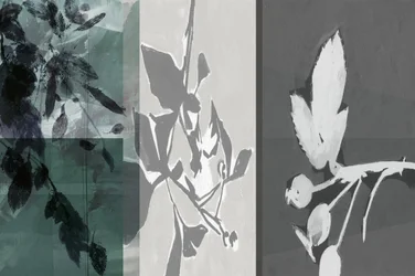 Serene Botanical Forms