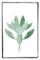 Soft Green Botanical