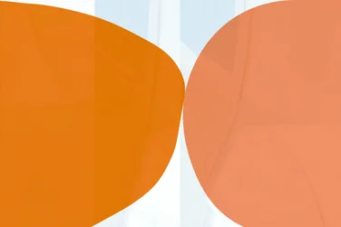 Soft Orange Forms